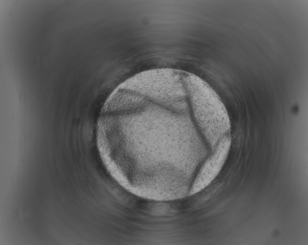 X0000094170230200711241537