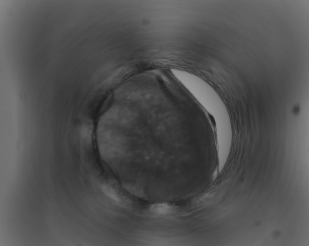 X0000094170231200711241537