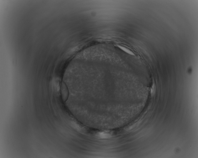 X0000094170232200711241537