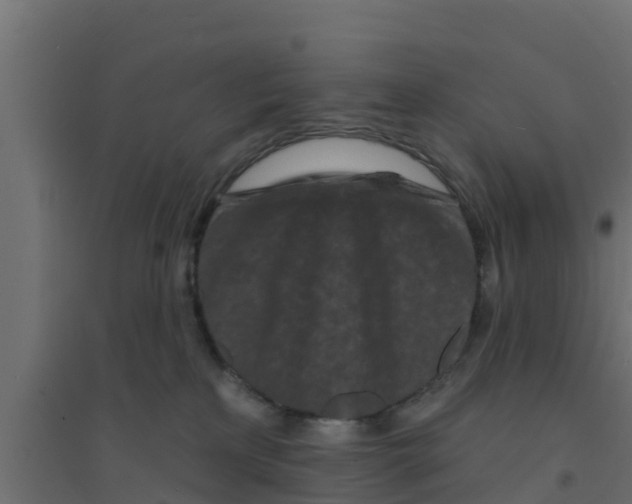 X0000094170233200711241537