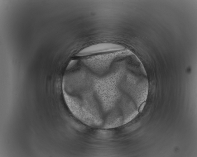 X0000094170234200711241537
