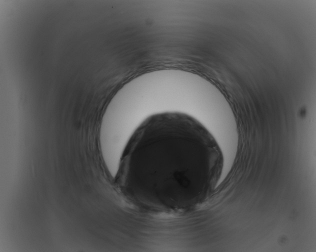 X0000094170235200711241537