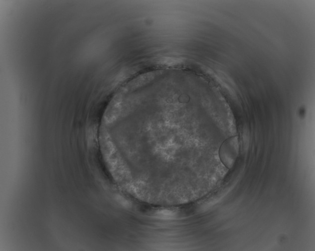 X0000094170236200711241537
