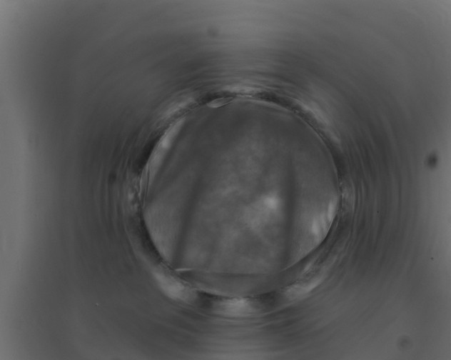 X0000094170237200711241537