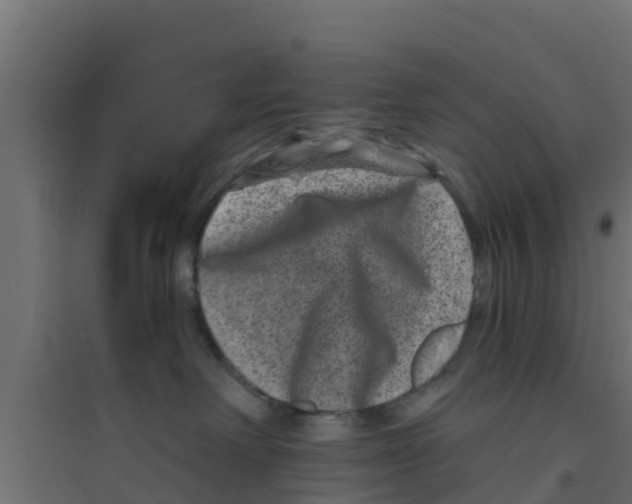 X0000094170238200711241537