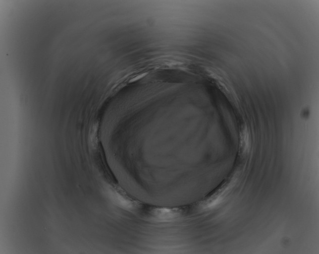 X0000094170239200711241537