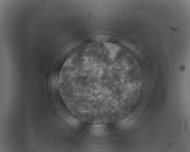 X0000094170240200711241537