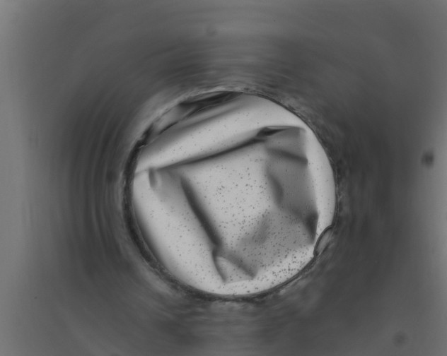 X0000094170242200711241536