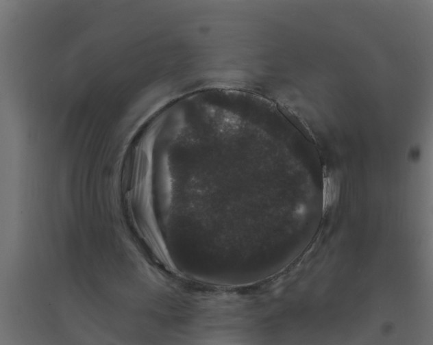X0000094170243200711241536