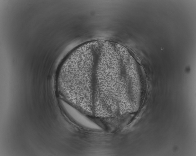X0000094170244200711241536