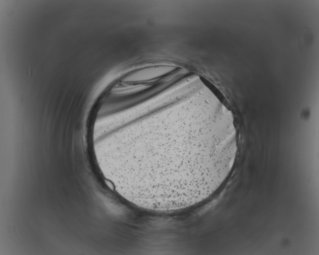 X0000094170246200711241536