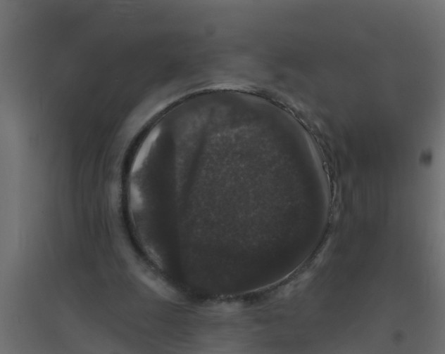 X0000094170247200711241536