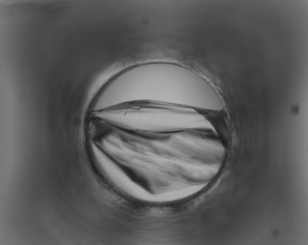 X0000094170248200711241536