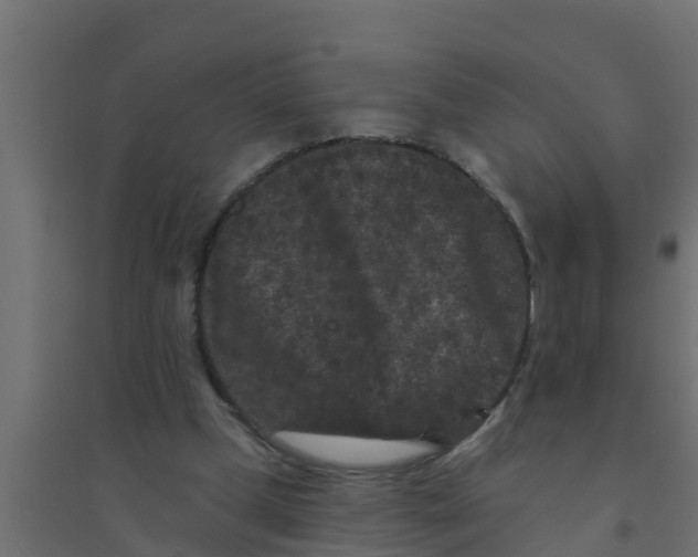 X0000094170249200711241536