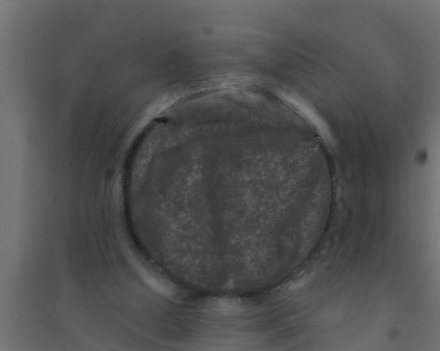 X0000094170250200711241536