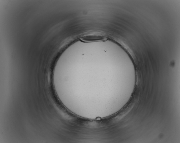 X0000094170253200711241536