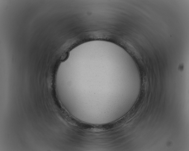 X0000094170255200711241536