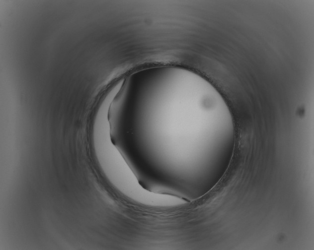X0000094170256200711241536