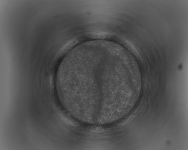 X0000094170258200711241537