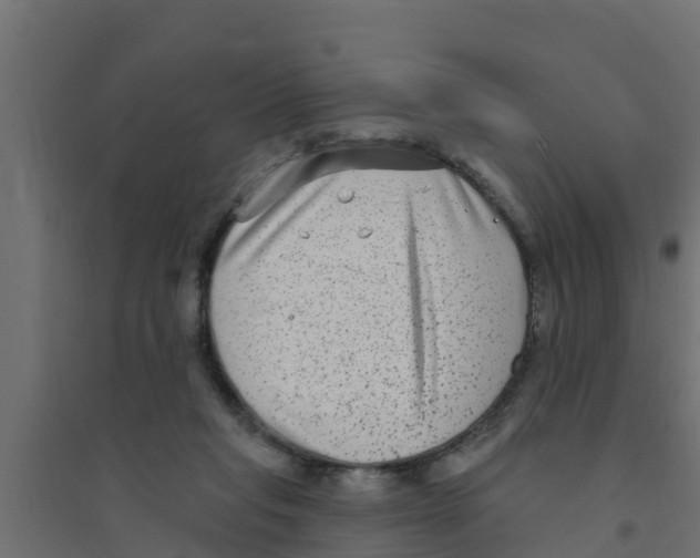 X0000094170261200711241537