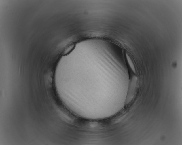 X0000094170264200711241537