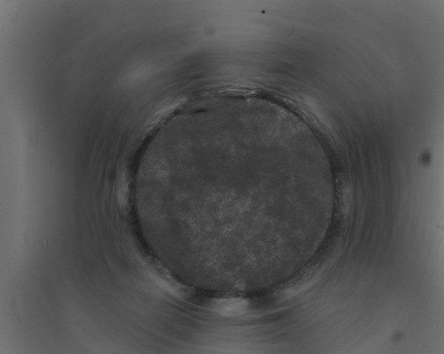 X0000094170266200711241537