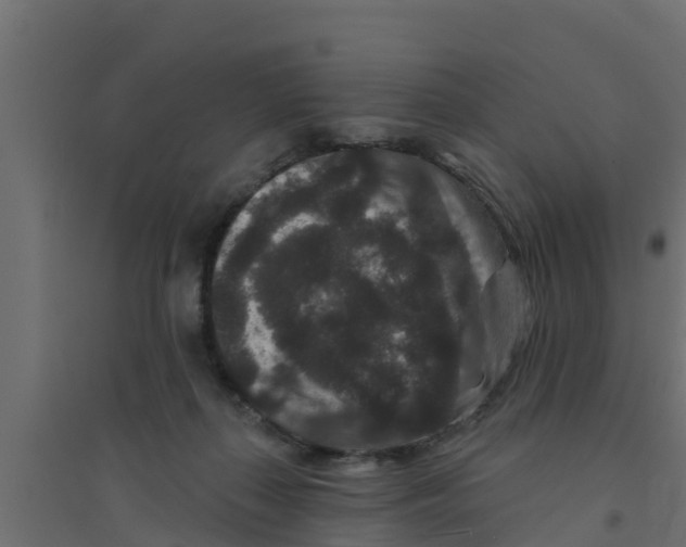 X0000094170267200711241537