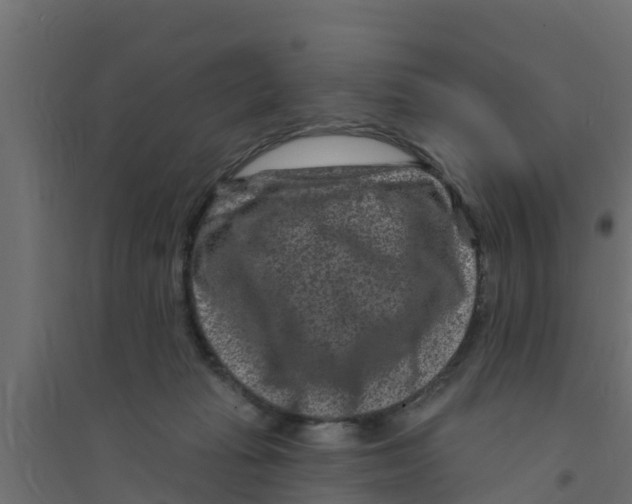 X0000094170269200711241537