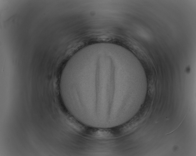 X0000094170270200711241537