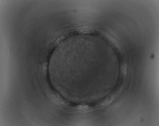 X0000094170271200711241537
