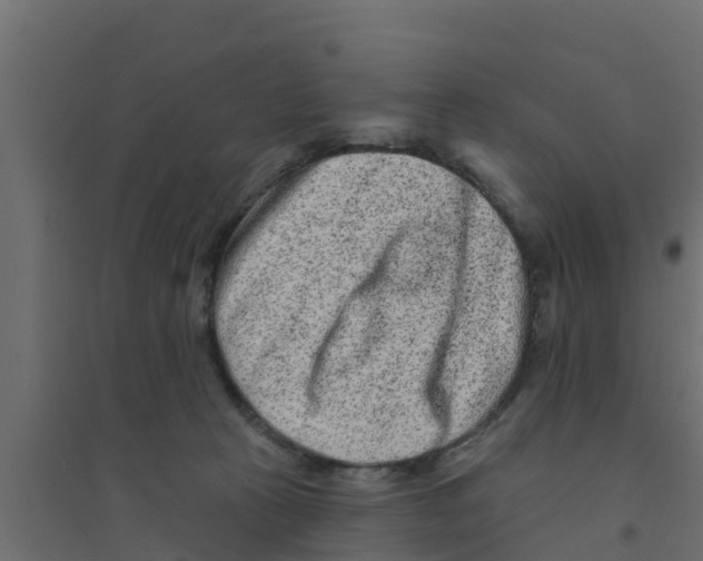 X0000094170273200711241537