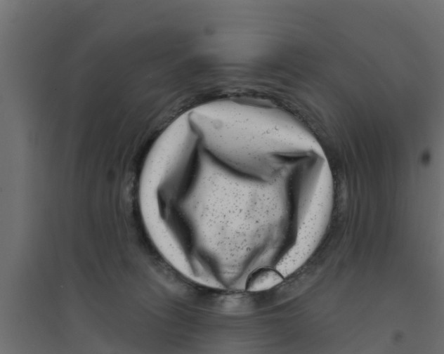 X0000094170275200711241537