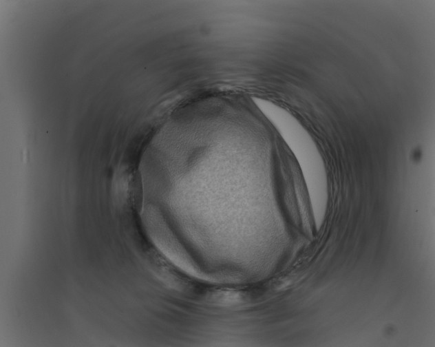 X0000094170276200711241537