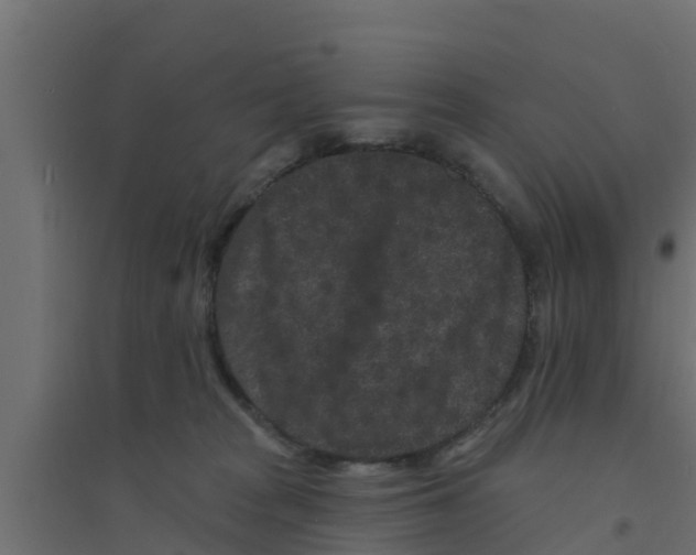 X0000094170277200711241537