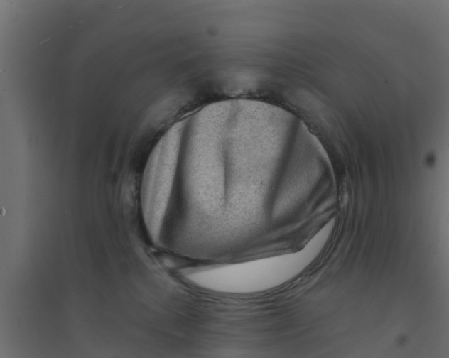 X0000094170280200711241537