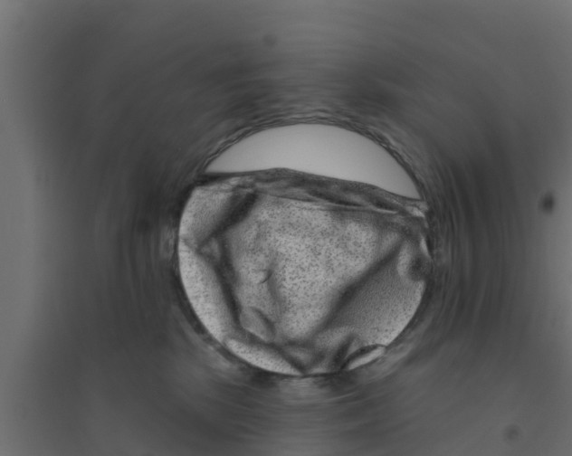 X0000094170281200711241537