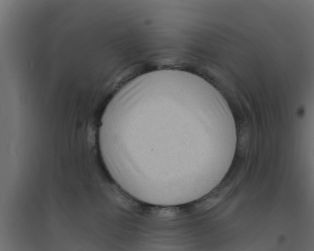 X0000094170282200711241537