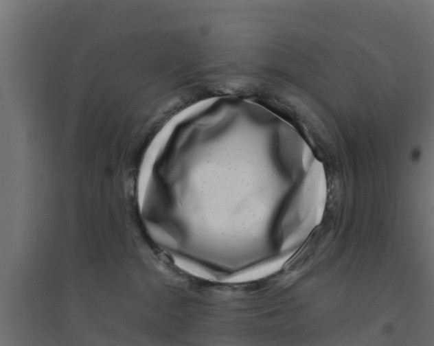 X0000094170284200711241537