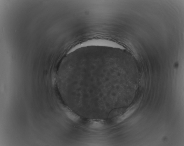 X0000094170285200711241537