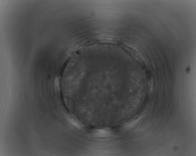 X0000094170286200711241537