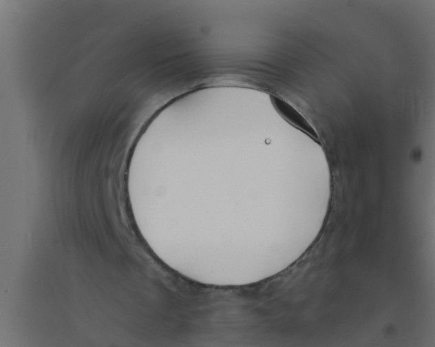 X0000094170289200711241536