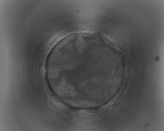X0000094170290200711241536