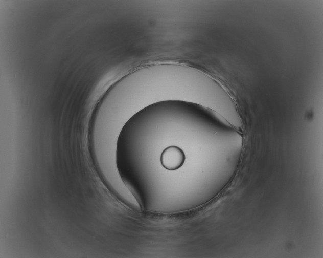 X0000094170293200711241536
