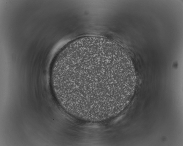 X0000094170294200711241536