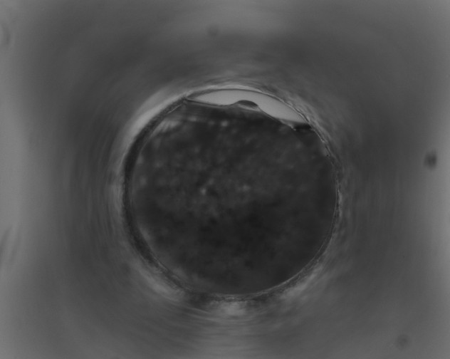X0000094170295200711241536