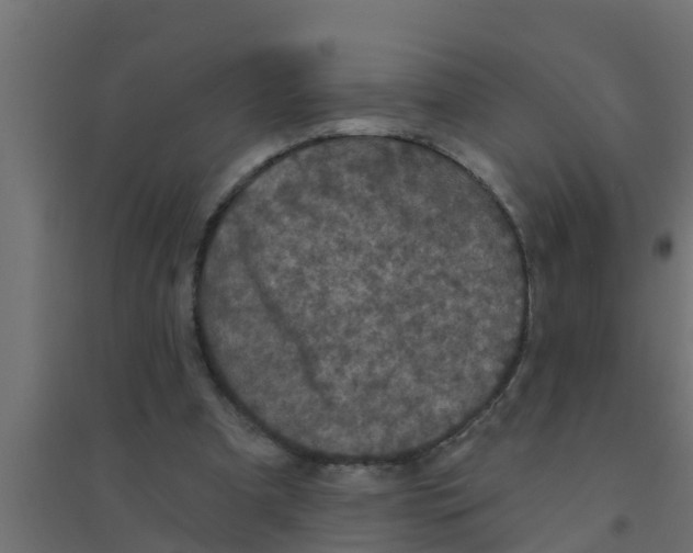 X0000094170297200711241536