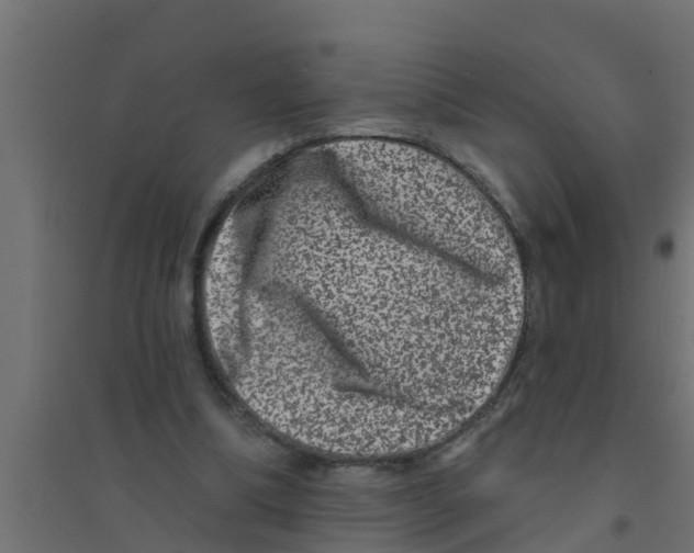 X0000094170298200711241536
