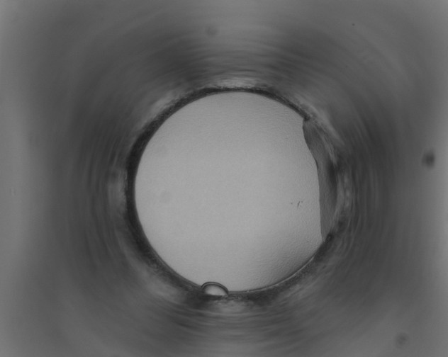 X0000094170300200711241536