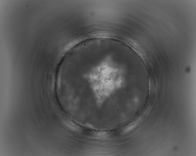 X0000094170301200711241536
