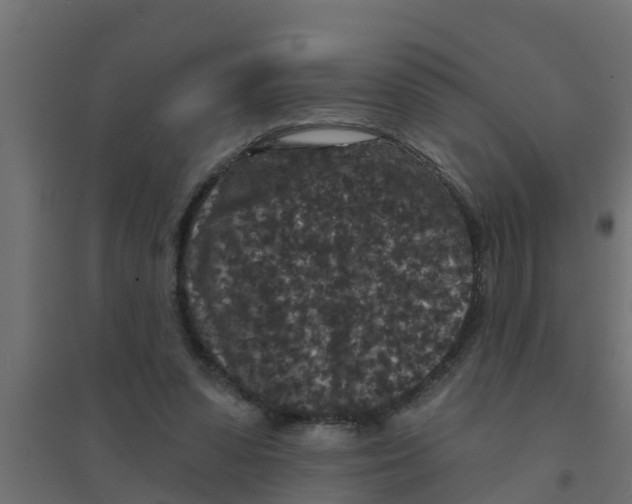 X0000094170303200711241536